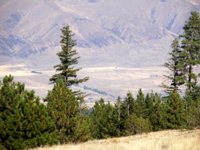 Over the Ridge 5
