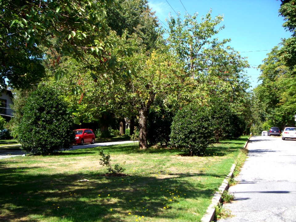 2009_08_24