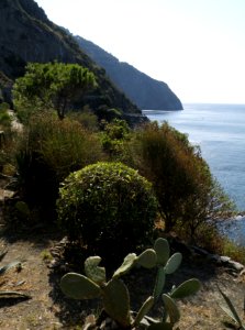 A Day in the Cinque Terre 06