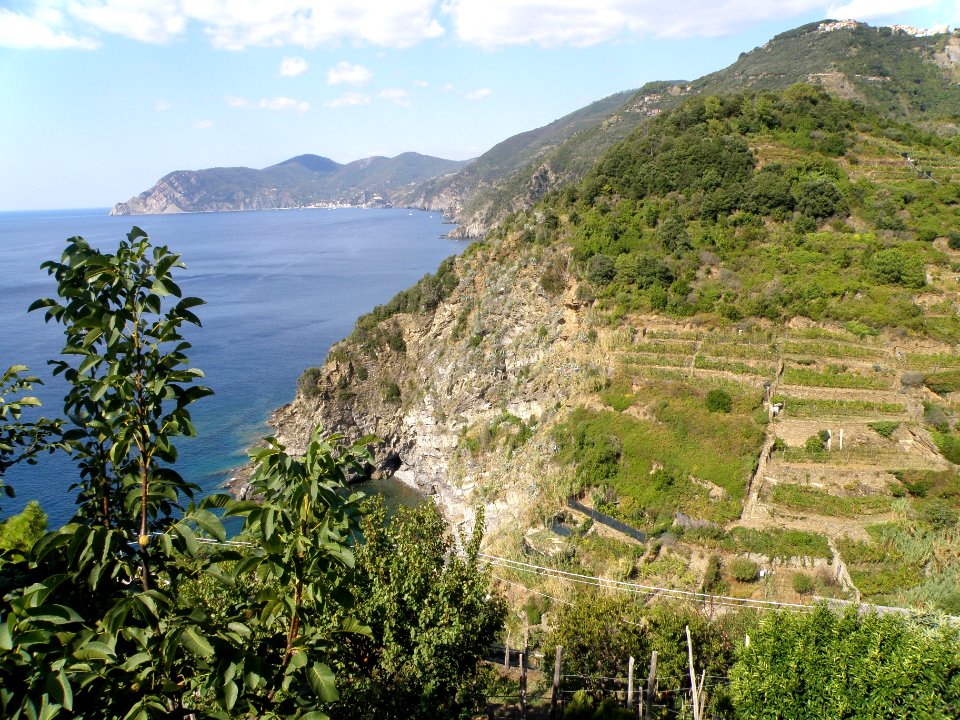 A Day in the Cinque Terre 11