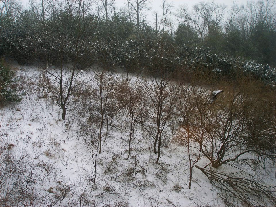 2007_02_14