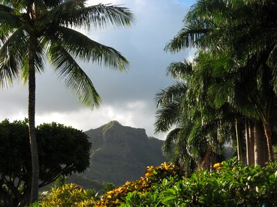 Kauai tropical vacation