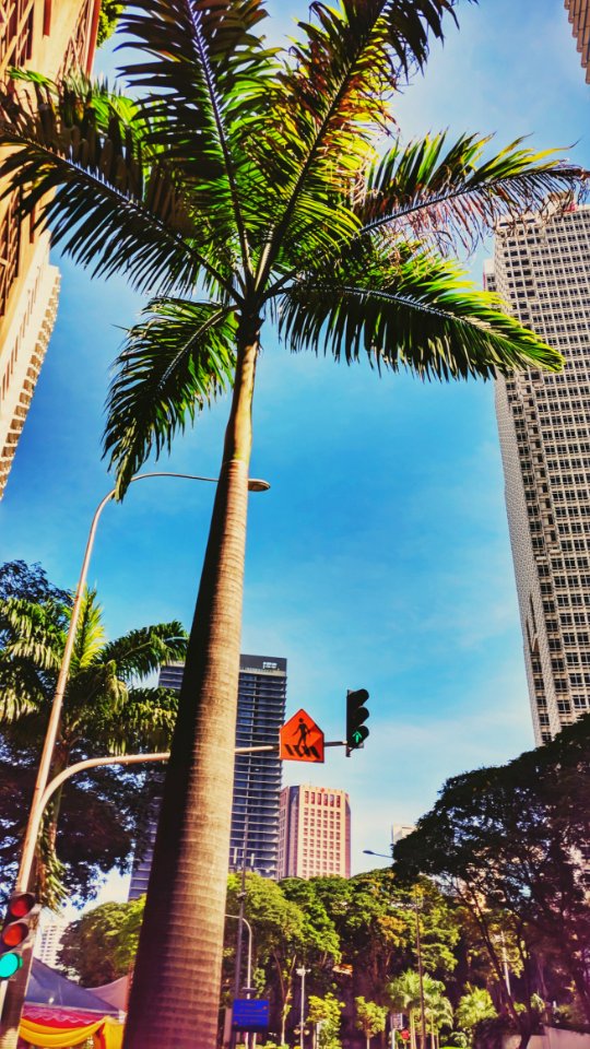 Good Morning, KL