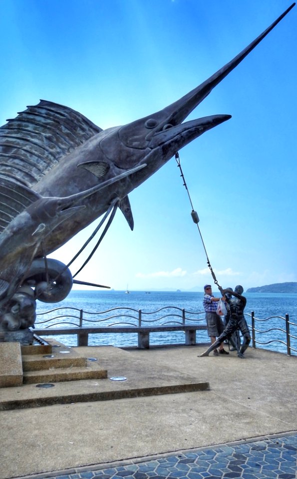 Pulling in a Marlin
