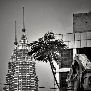 Twin Towers Tips