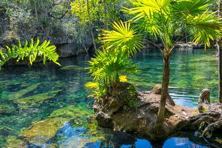 Nature summer travel