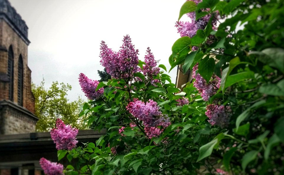 2018_05_01