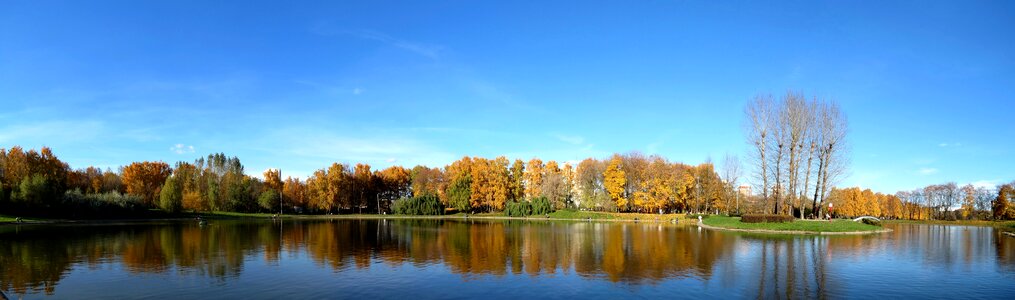 Landscape golden autumn autumn nature