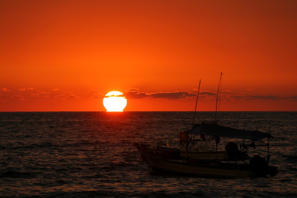 Sunset ocean ocean brown fish
