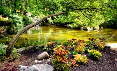 Duck Haven