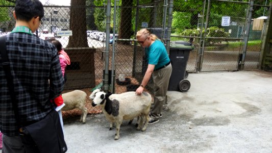 Petting Zoo Opens