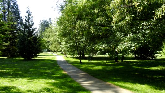 Walking Uptown