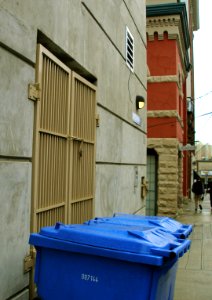 Blue Bins