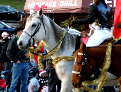 New West Santa Parade 2009 photo