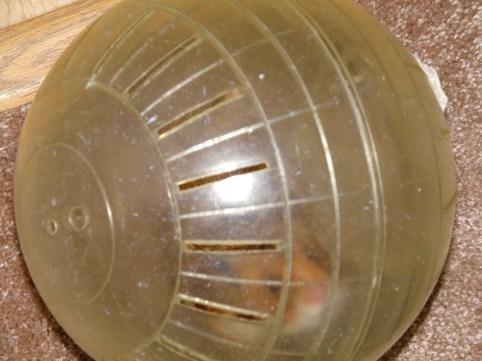 2009_12_13