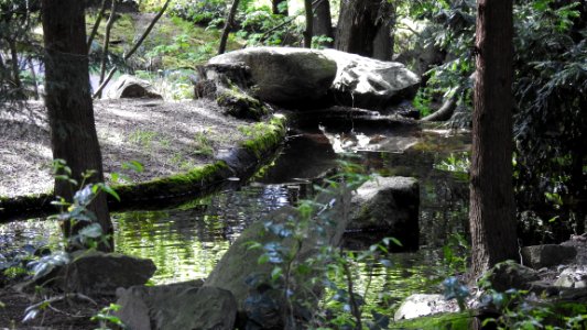 Tipperary Park photo