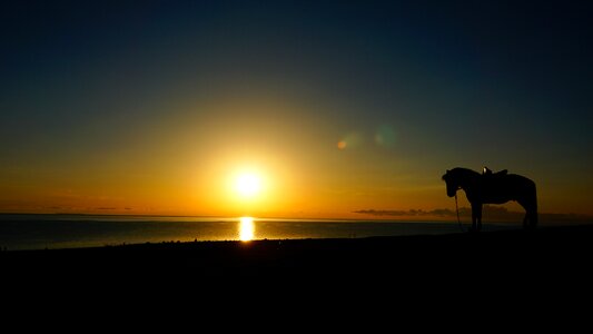 Sunrise horse river
