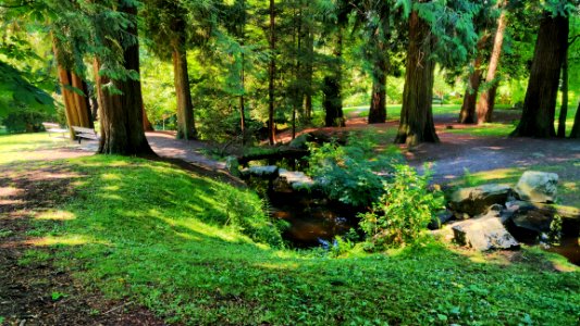 The Park North of Us