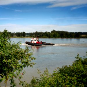 Fraser Tug