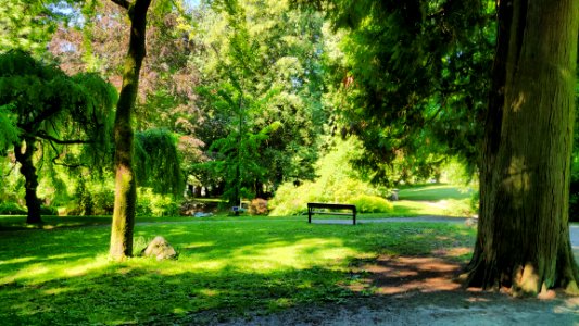 The Park North of Us