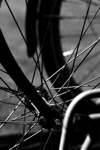 Cycle bike gray bike photo