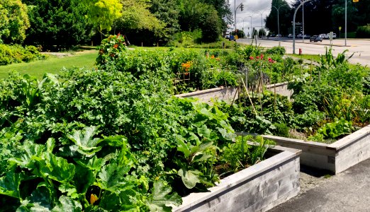 Community Garden Plots