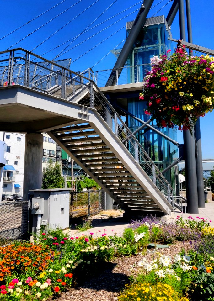 Stairs or Elevator?