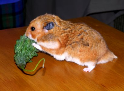 2010_03_13