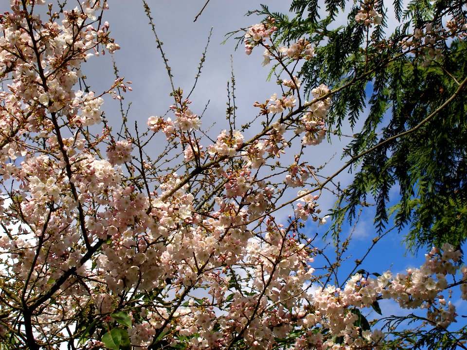 2007_04_02