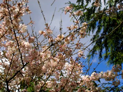 2007_04_02
