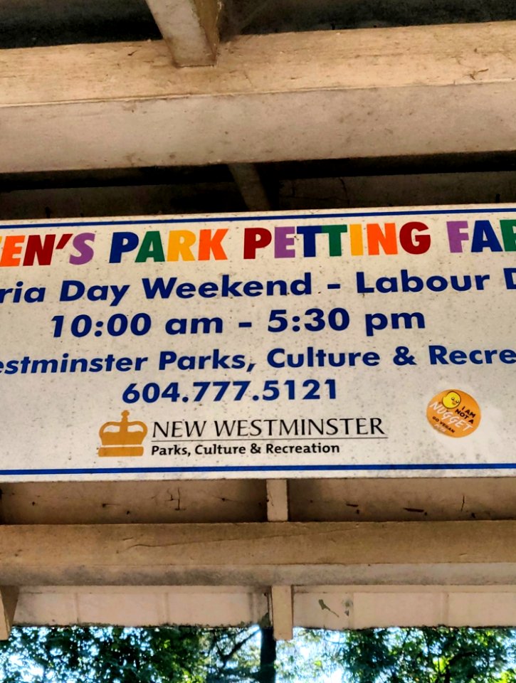 Last Day to Pet Goats