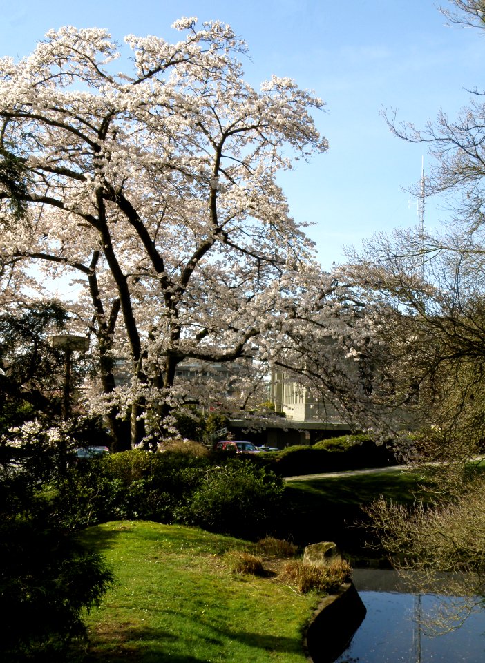 Beside City Hall photo