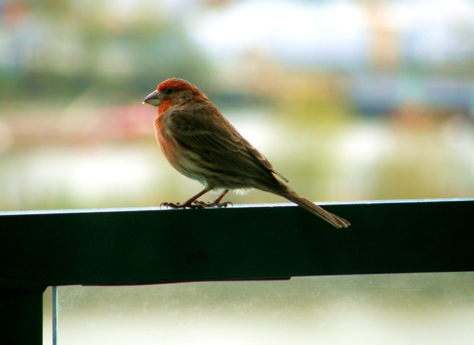 2010_04_04