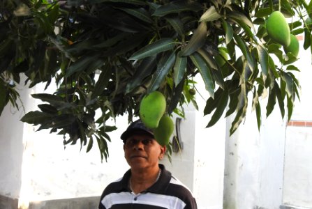 Bali - Nov 18