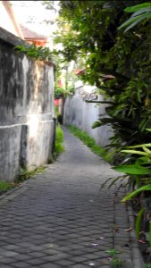 Bali - Nov 20