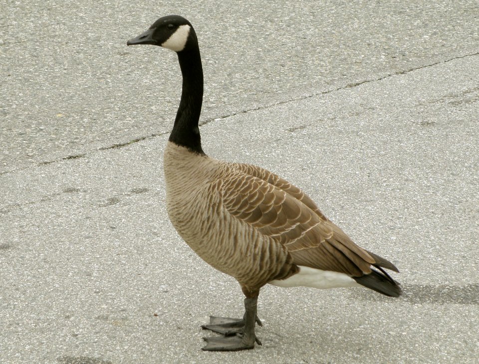 2010_04_21