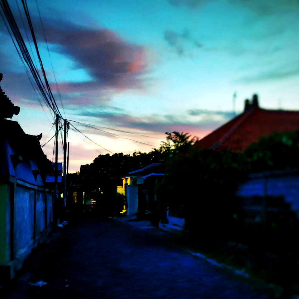 Processed
