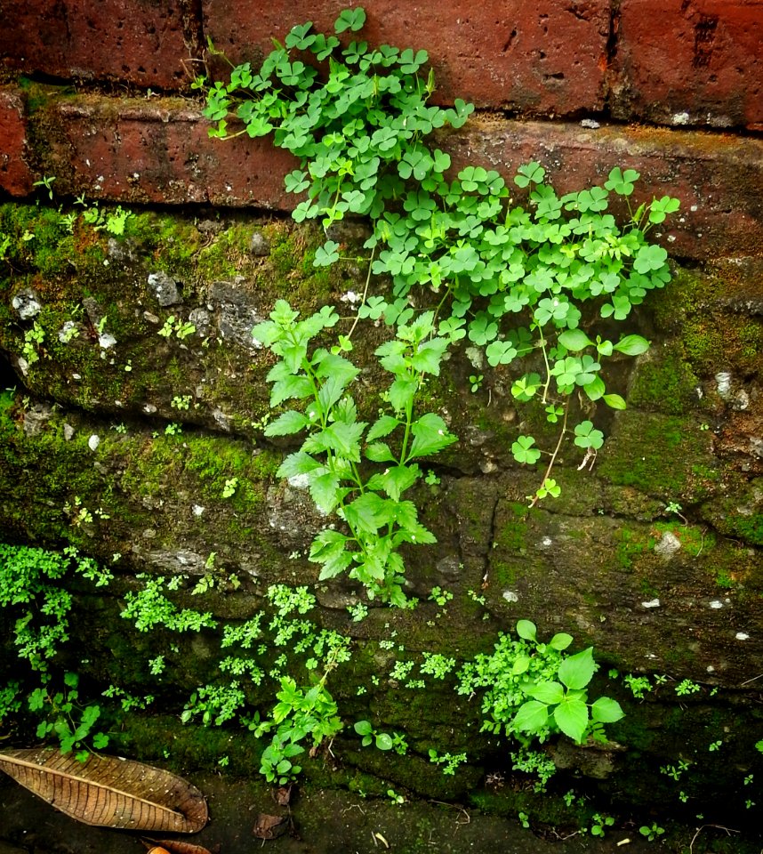 Textures of a Wall