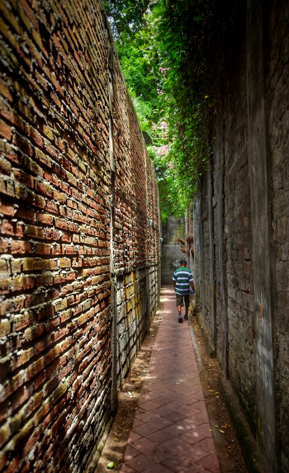 The Walls