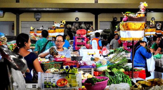 Municipal Market