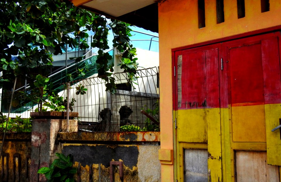 Colours
