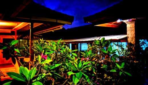 Night at the Apartments