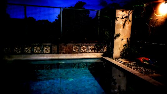 Night Dip? photo