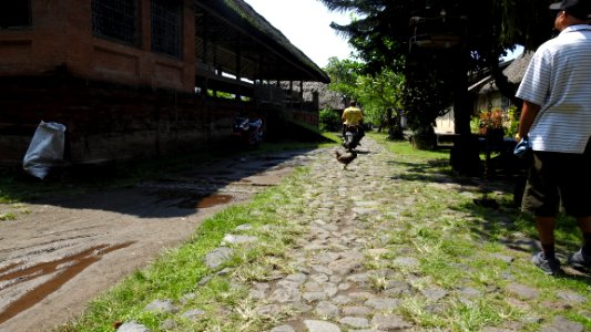 Day Trip to Amed (Direct from Camera)