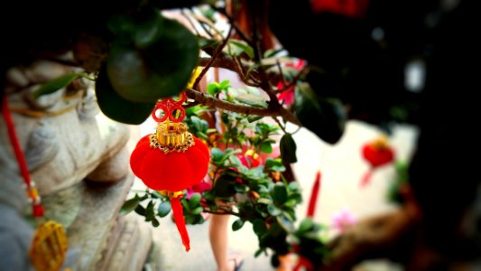 Oriental Ornamental