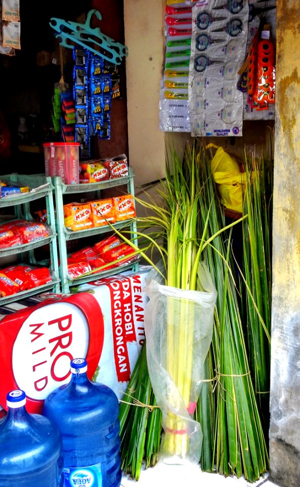 Palms for Weaving Offering Baskets