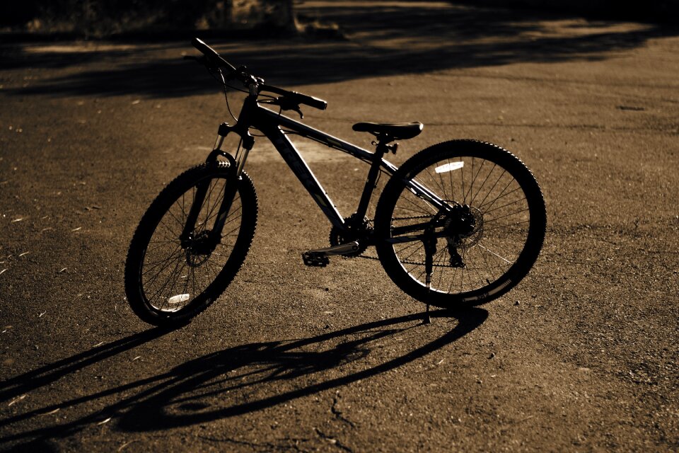 Lifestyle cycle exercise