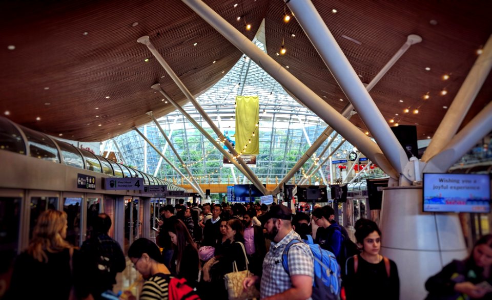 The Airport With a Built-In Jungle