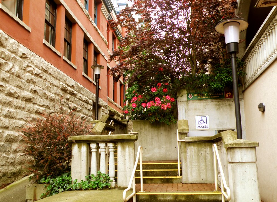 2010_06_04