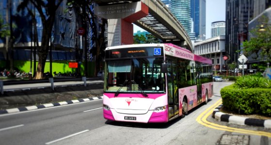 Pink Buses are Free